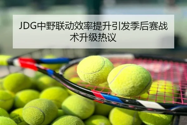 JDG中野联动效率提升引发季后赛战术升级热议