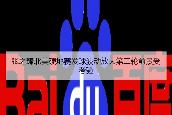 张之臻北美硬地赛发球波动放大第二轮前景受考验